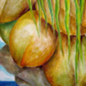 Meet your Posher, Nani